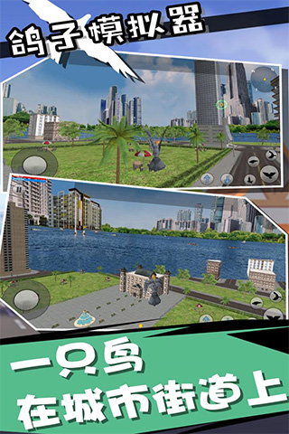 鸽子模拟器游戏中文版