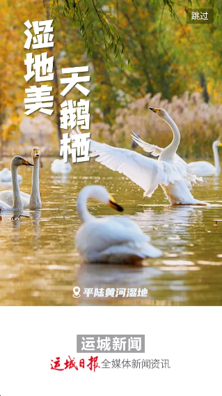 运城新闻客户端