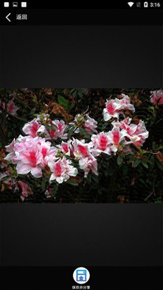 照片变清晰助手app