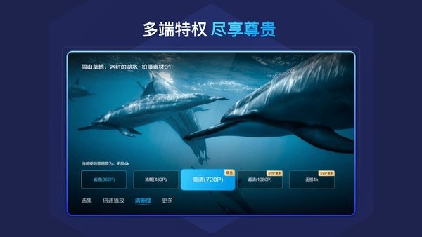 百度网盘tv版 百度网盘电视版apk