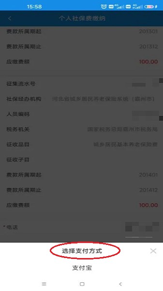 河北税务移动办税端