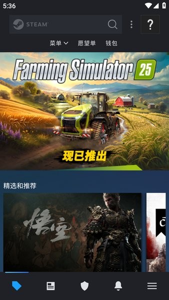 steam