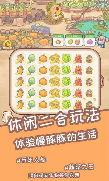 慢豚豚的生活游戏