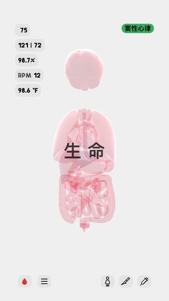 生命人体模拟器下载