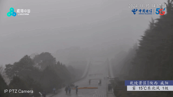 星河电视直播tv版