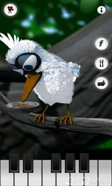 会说话的拉里鸟talkingLarry 会说话的拉里鸟游戏