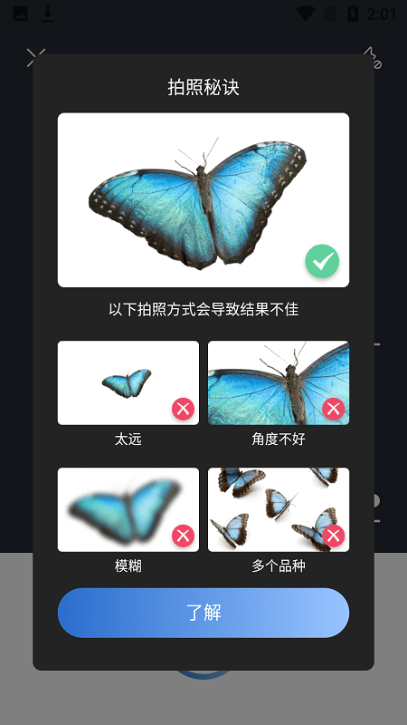 Picture Insect app