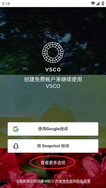 vsco下载安卓版
