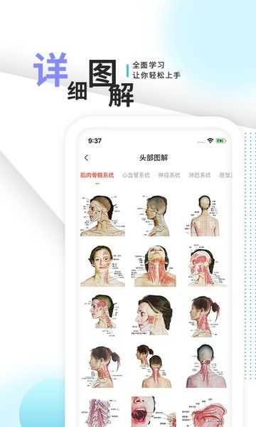 3d人体解剖学三维图谱app