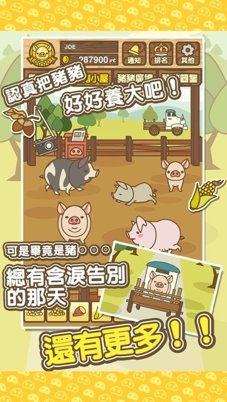养猪场mix游戏