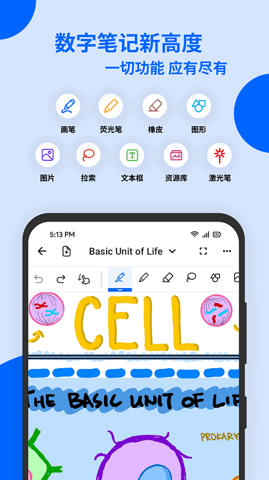 notewise软件