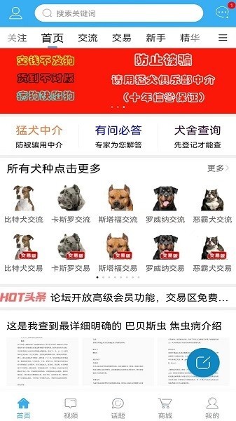 猛犬俱乐部交易区 猛犬俱乐部app