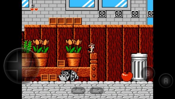 fc松鼠大战1 松鼠大战手机版下载