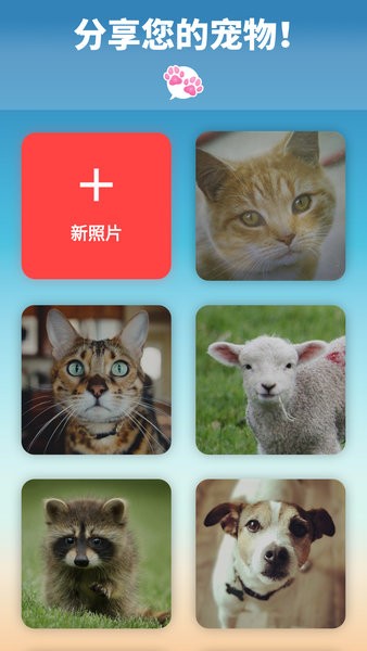 我的宠物会说话app下载