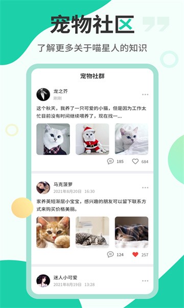 猫语翻译机 猫语翻译机app