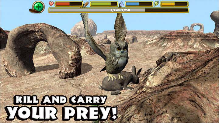 猫头鹰模拟器中文版 猫头鹰模拟器游戏