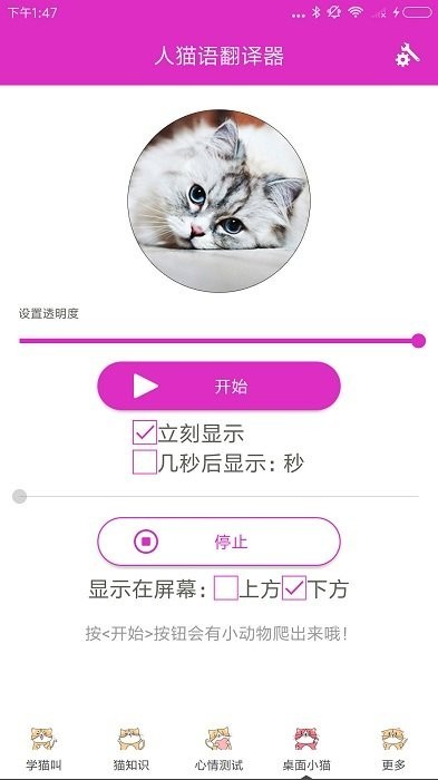 人猫语翻译器手机版