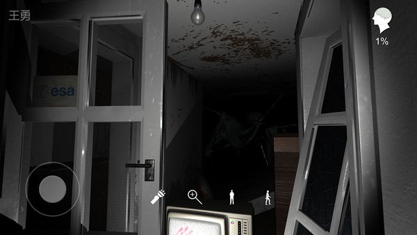 孙美琪疑案王勇 王勇游戏