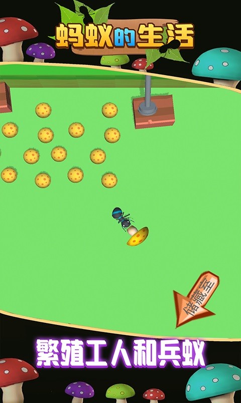 蚂蚁的生活手游下载 蚂蚁的生活下载