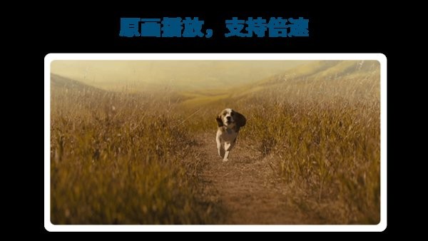 飞鸟下载器电视版