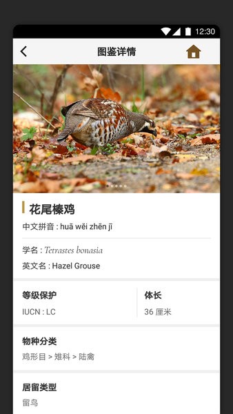 识鸟家 识鸟家最新版