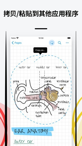 nebo for huawei Nebo华为手写笔记