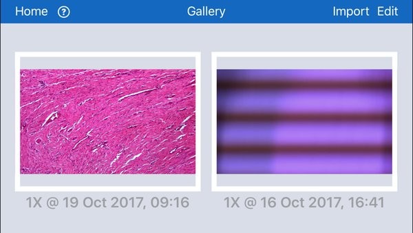 moticnet安卓手机