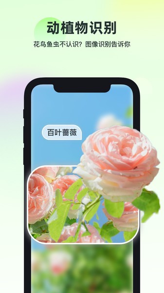 智能识万物app