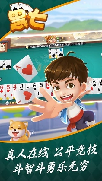 信阳黑七免费版安装