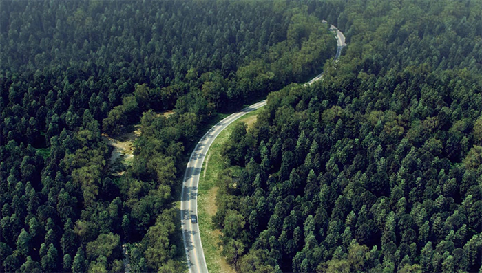 vray for 3dsmax2021渲染器