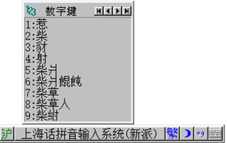 上海话拼音输入系统新派