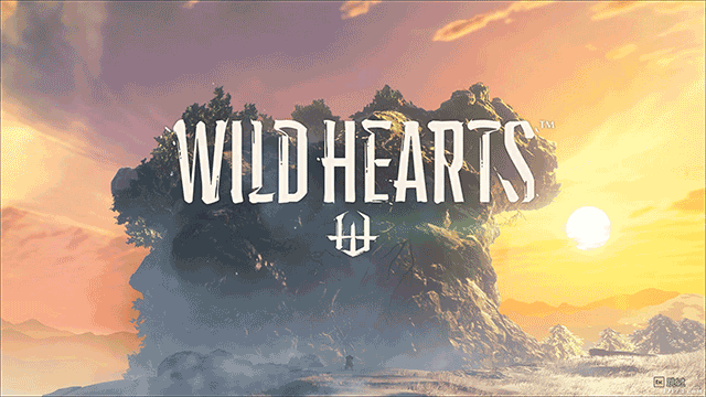 狂野之心中文版