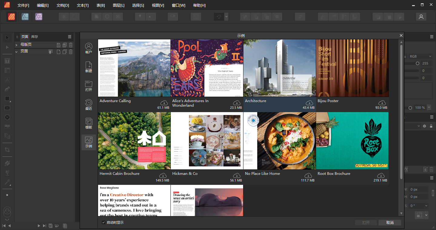 affinity publisher 2中文特别版