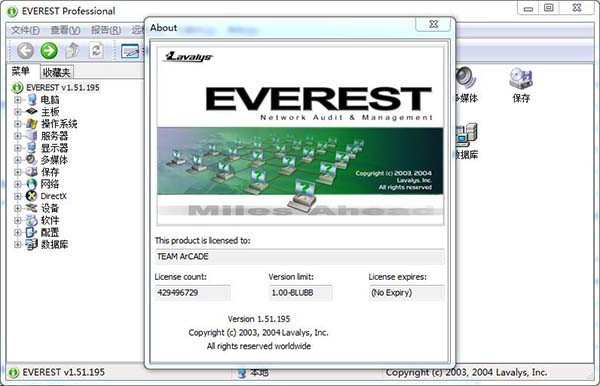 everest professional电脑版