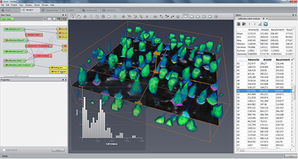 FEI Amira(三维可视化软件)