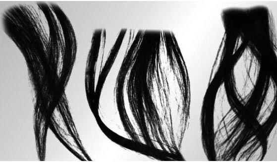 ps头发丝笔刷工具