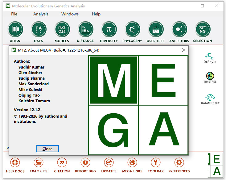 MEGA 12进化树软件